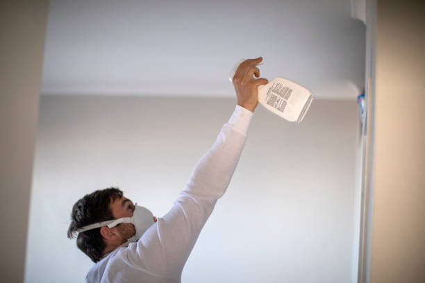 Best Mold Damage Repair  in Inman, KS