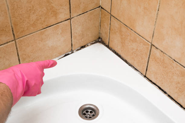 Best Fast Mold Removal  in Inman, KS